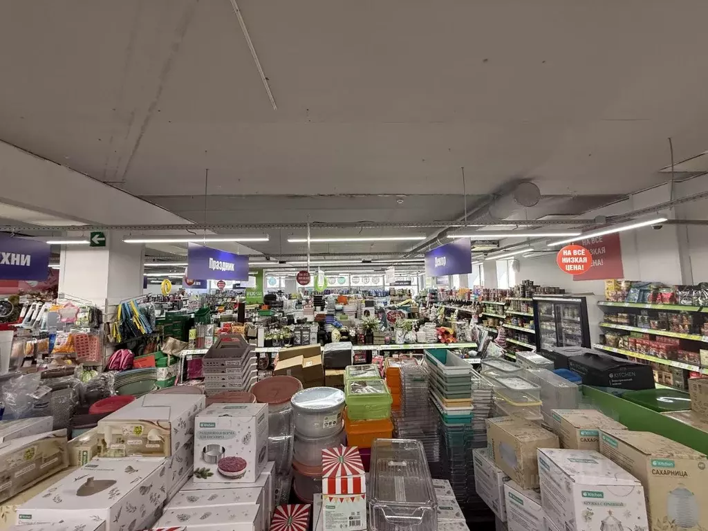 Помещение свободного назначения в Самарская область, Самара ул. ... - Фото 1