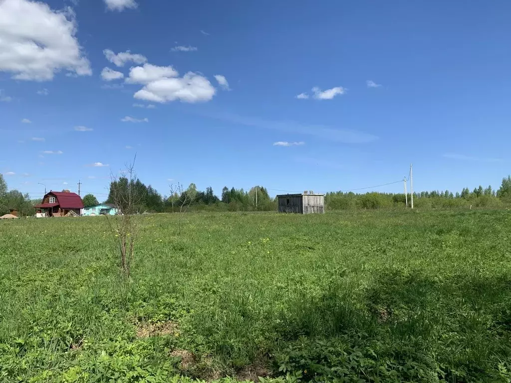 Участок в Новгородская область, Новгородский район, Савинское с/пос, ... - Фото 0