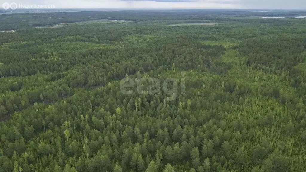 Дом в посёлок Андреевский, улица Строителей (200 м) - Фото 1