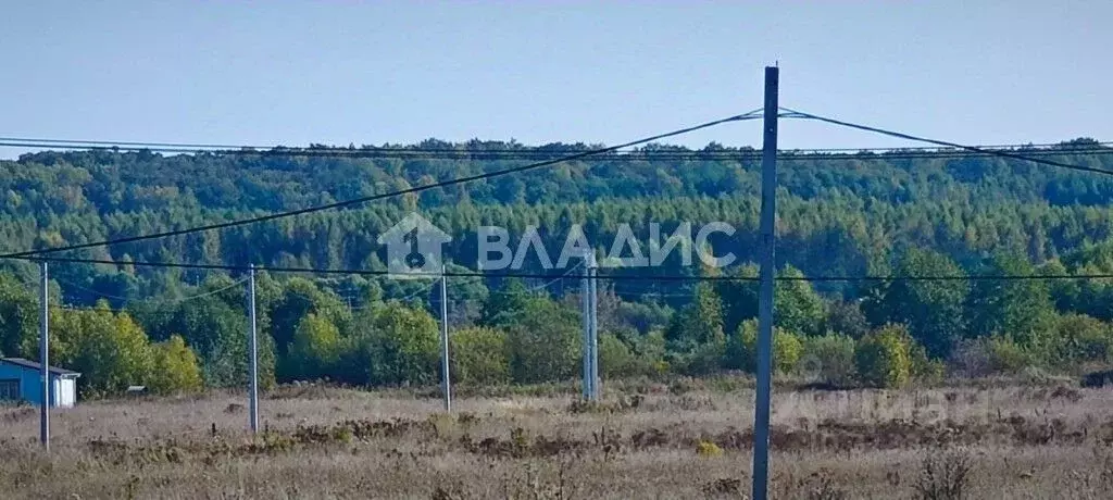 Участок в Владимирская область, Суздальский район, Павловское ... - Фото 1