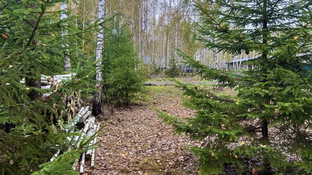 Участок в Московская область, Ступино городской округ, Бекетово парк ... - Фото 1