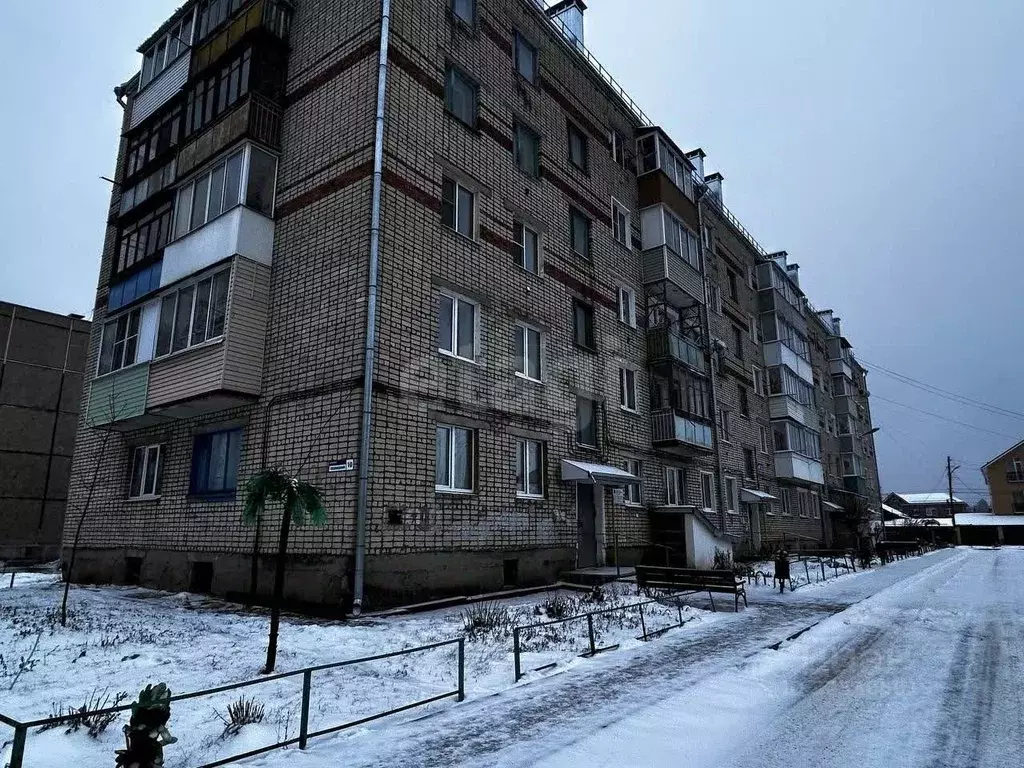 1-к кв. Владимирская область, Гусь-Хрустальный Теплицкий просп., 10 ... - Фото 2