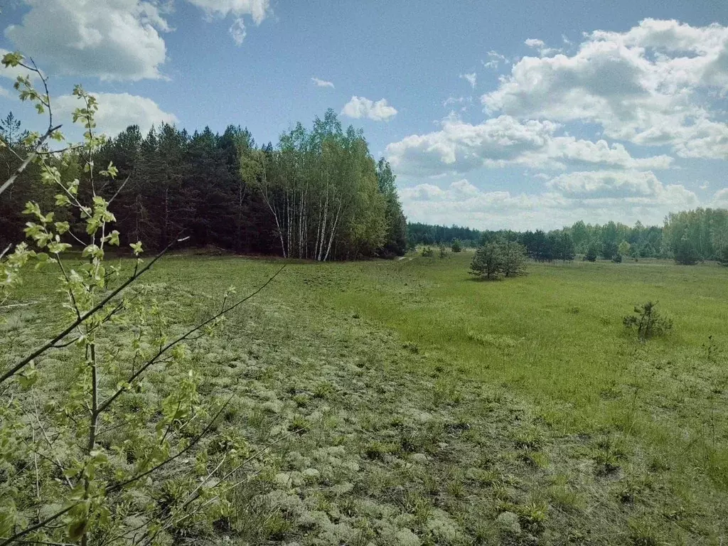 Участок в Нижегородская область, Навашинский муниципальный округ, с. ... - Фото 1