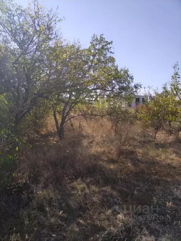 Участок в Ставропольский край, Ставрополь Рябина садовое товарищество, ... - Фото 1