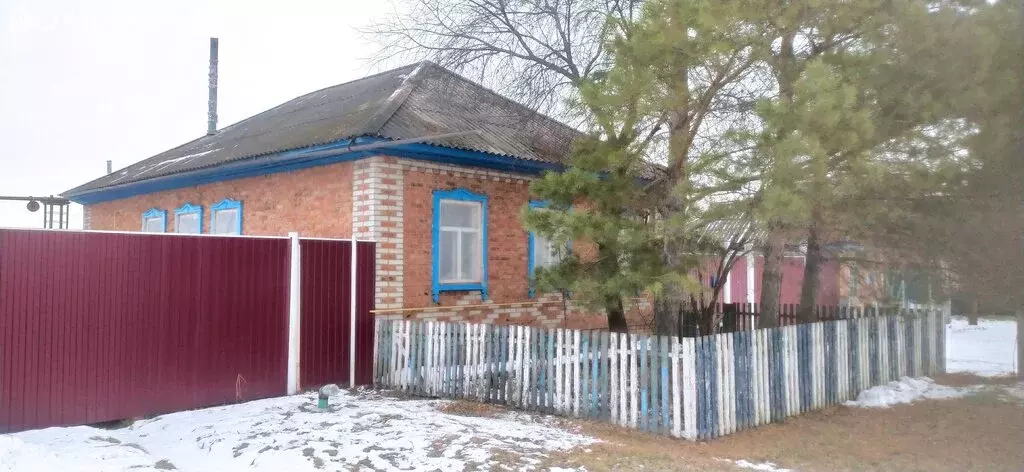 Дом в Иртыш, Школьная улица (80 м) - Фото 1
