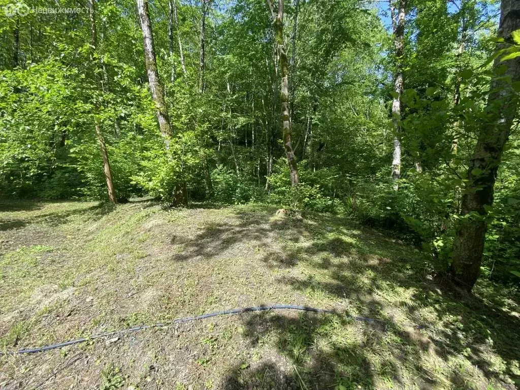 Участок в Краснодарский край, городской округ Сочи, село Васильевка, ... - Фото 0