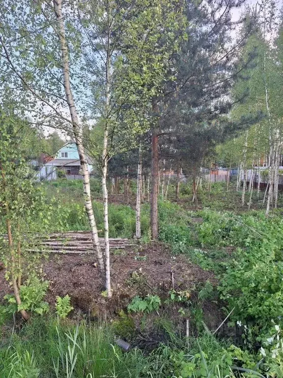 Участок в Московская область, Богородский городской округ, Электрон ... - Фото 2