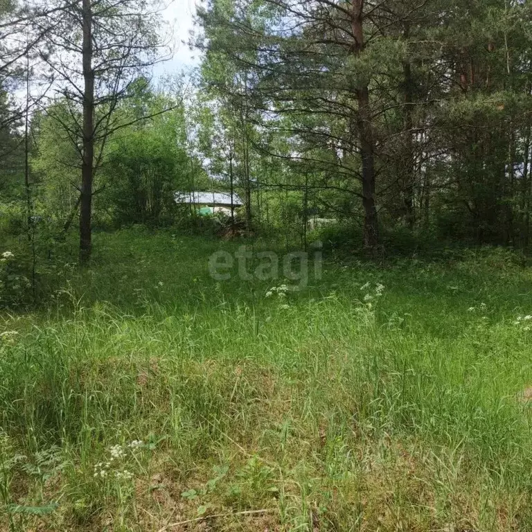 Участок в Калужская область, Перемышльский район, Большие Козлы с/пос, ... - Фото 2