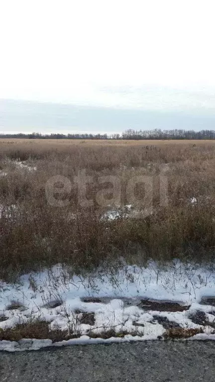 Участок в Курганская область, Курган Тополя мкр,  (802.0 сот.) - Фото 1
