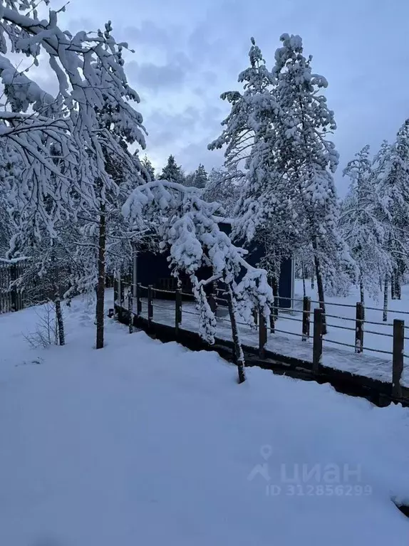 Дом в Ленинградская область, Всеволожское городское поселение, ... - Фото 0