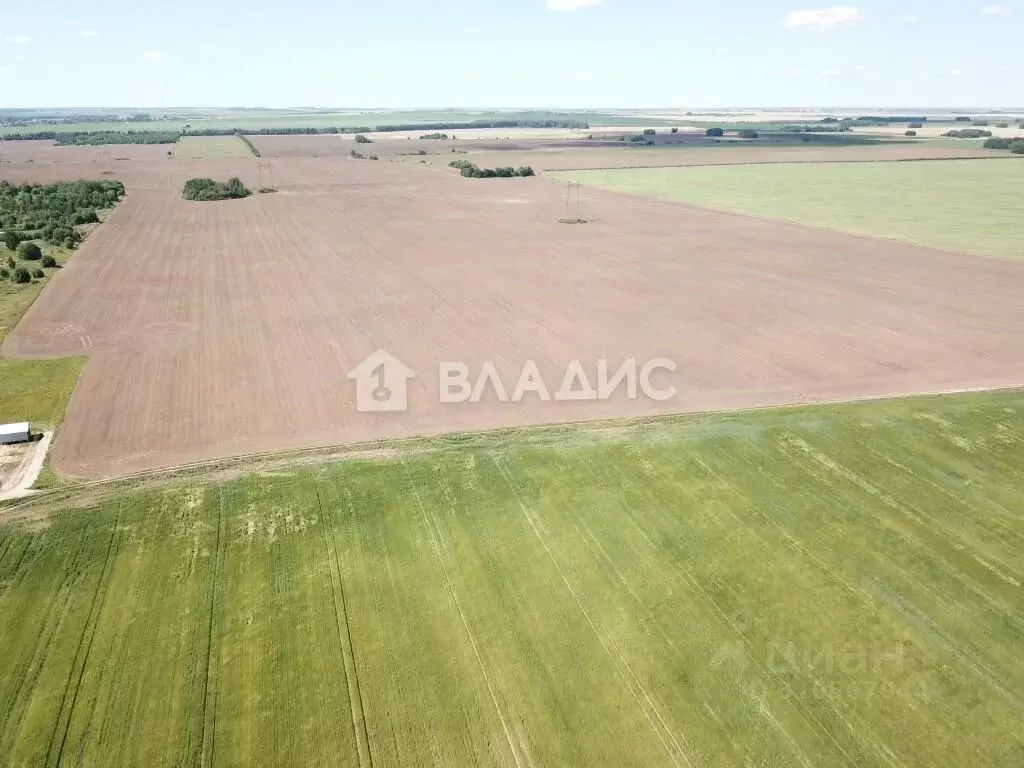 Участок в Владимирская область, Суздальский район, Селецкое ... - Фото 1