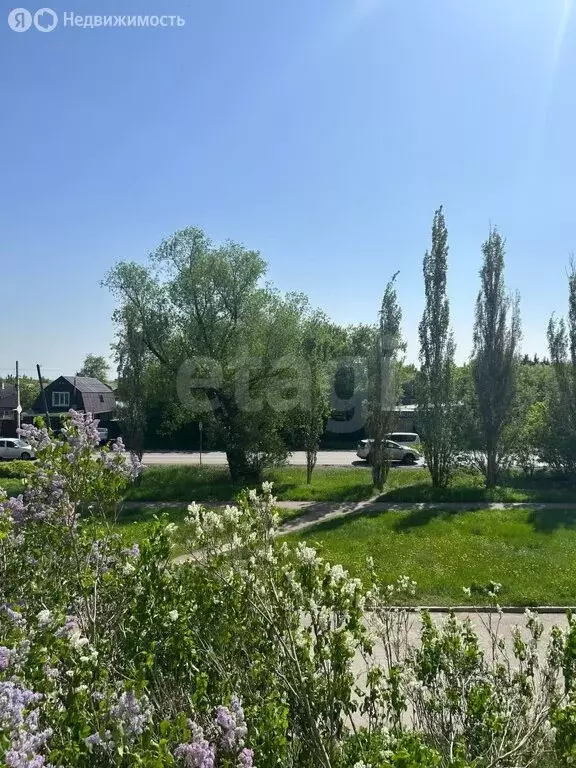 Участок в Омск, территория СОСН Яблонька (4.14 м) - Фото 0