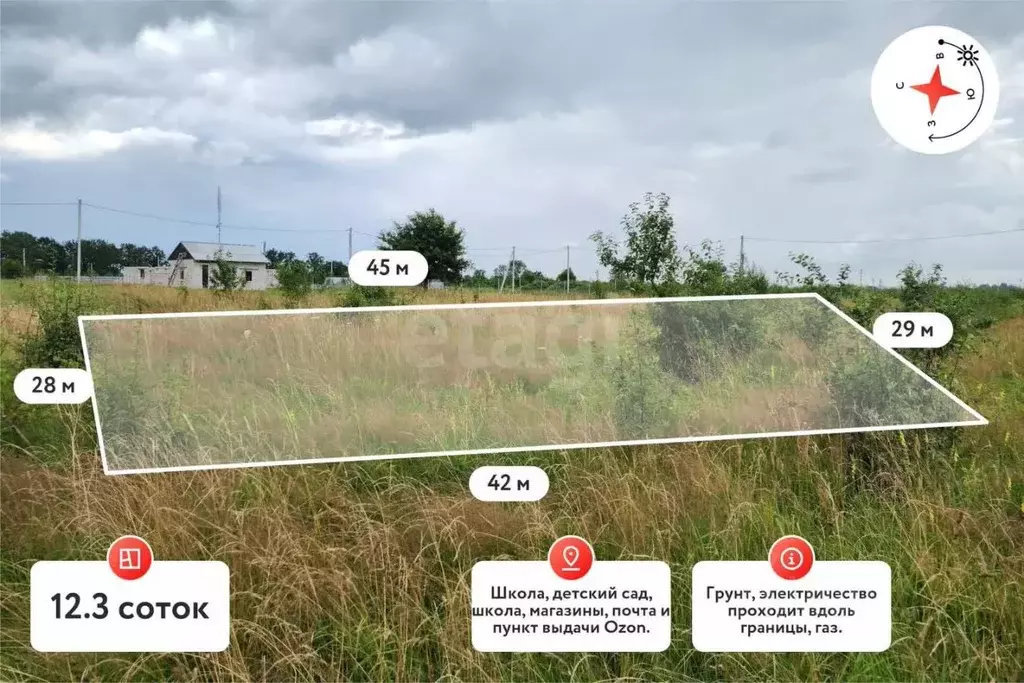 Участок в Калининградская область, Багратионовский муниципальный ... - Фото 1