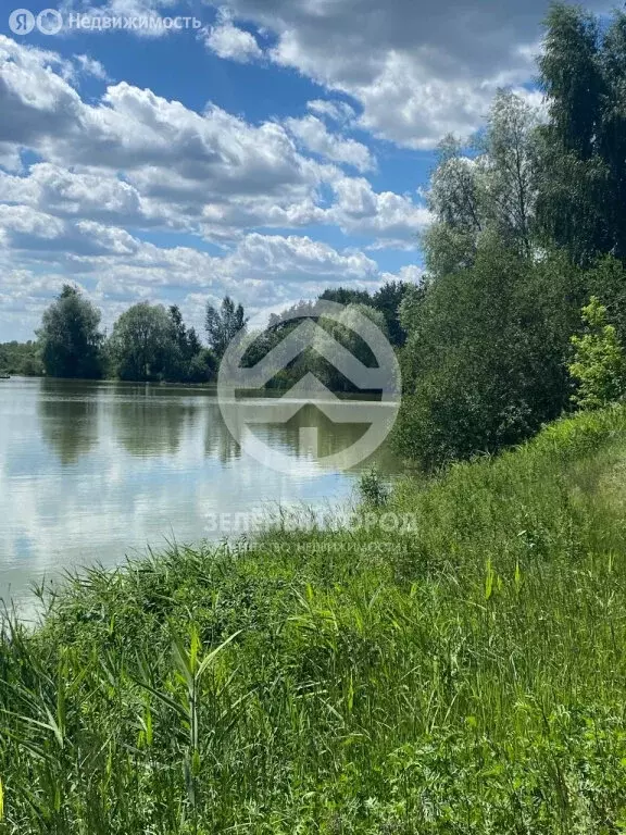 Участок в Богородский городской округ (28 м) - Фото 1