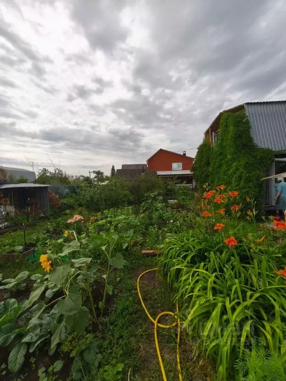 Дом в Омская область, Омск СОСН Черемушки тер., 24 (60 м) - Фото 1