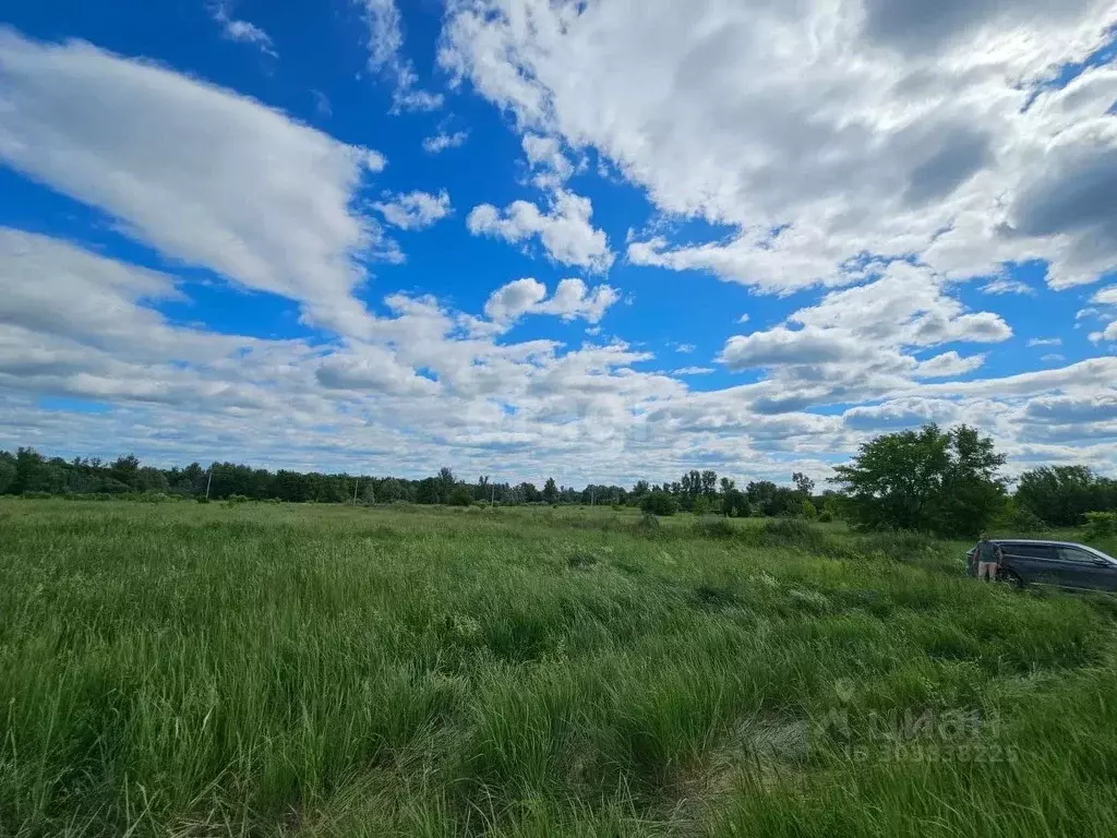 Участок в Нижегородская область, Кстовский муниципальный округ, д. ... - Фото 0