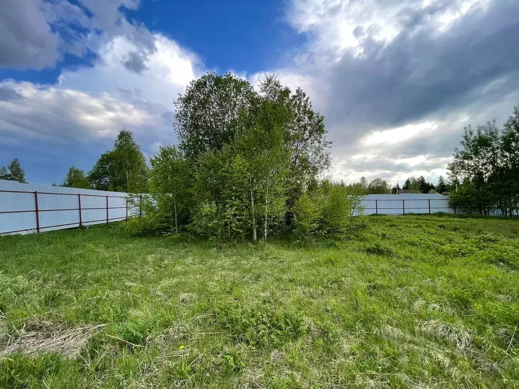 Участок в Московская область, Можайский городской округ, д. Антоново  ... - Фото 1