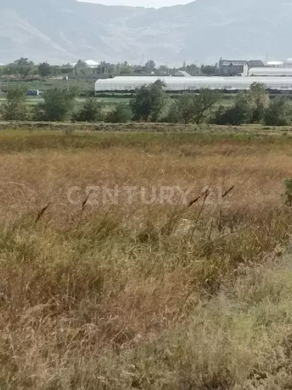 Участок в Дагестан, Махачкала городской округ, с. Шамхал-Термен ул. ... - Фото 0