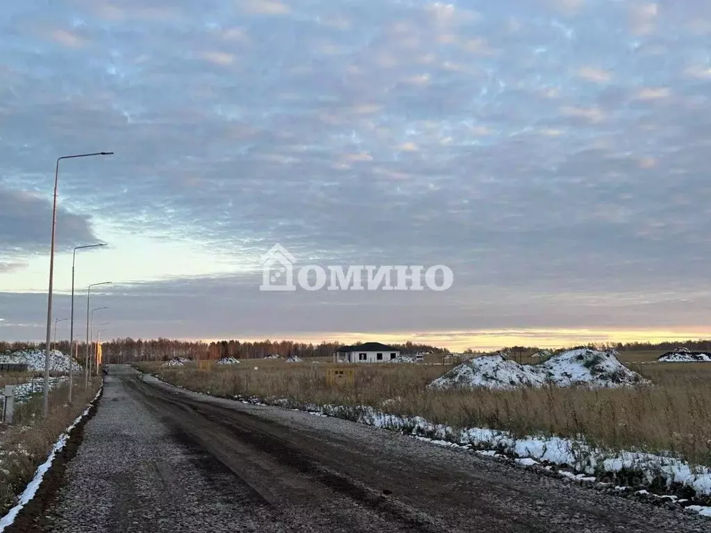 Участок в Тюменская область, Тюменский район, Новокаменский кп ул. ... - Фото 0