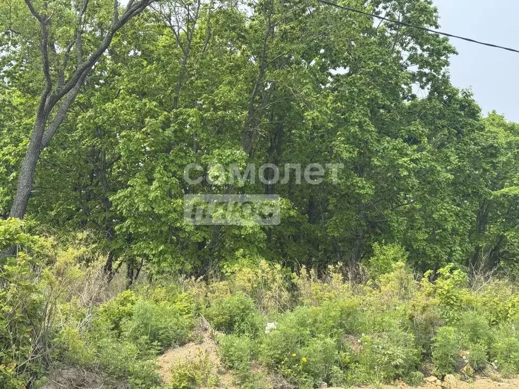 Участок в Приморский край, Находка пос. Врангель, ул. Осенняя, 13 ... - Фото 1