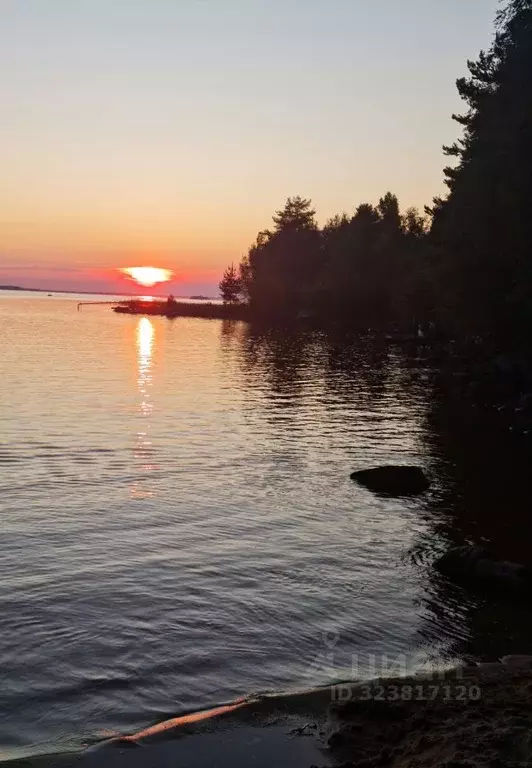 Дом в Карелия, Пряжинский район, Эссойльское с/пос, д. Чуралахта, ... - Фото 1