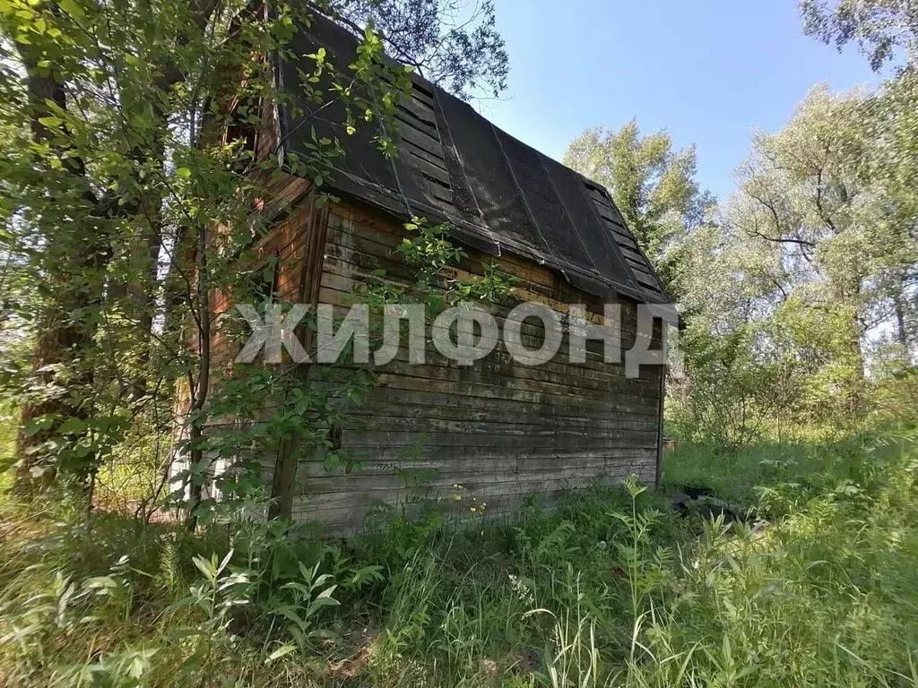 Участок в Новосибирская область, Новосибирск Ивушка СНТ, ул. Новая ... - Фото 2