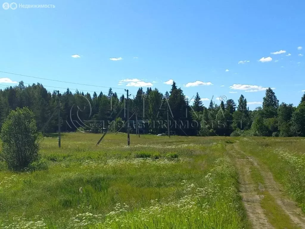 Дом в городской посёлок Ефимовский, улица Тамбовский Шлюз, 17 (55 м) - Фото 1