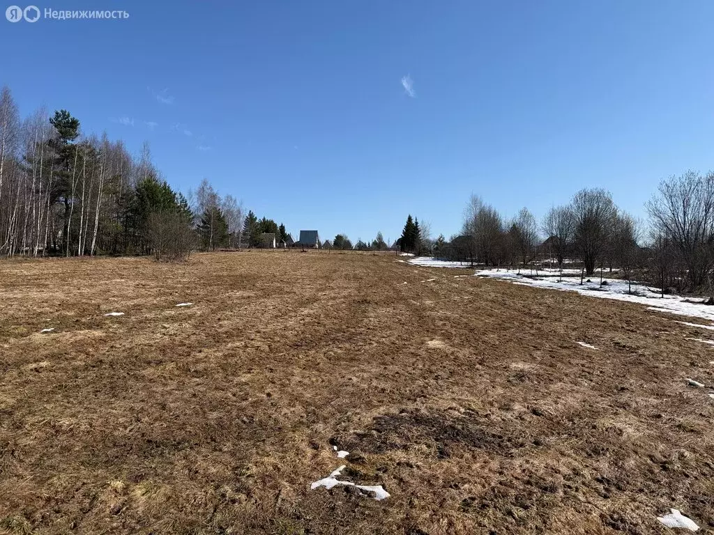 Участок в Владимирская область, Александровский муниципальный округ, ... - Фото 2