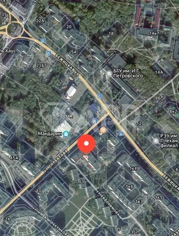 Помещение свободного назначения в Брянская область, Брянск Бежицкая ... - Фото 2