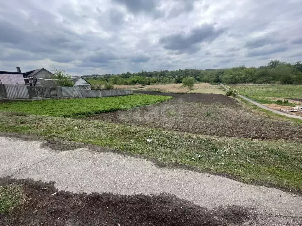 Участок в Белгородская область, Белгородский район, с. Стрелецкое, с. ... - Фото 1