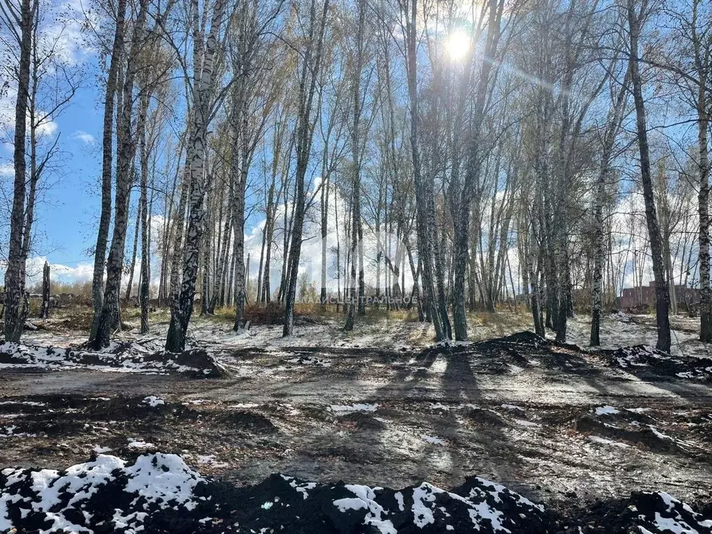 Участок в Новосибирская область, Бердск ул. Раздельная (6.0 сот.) - Фото 2