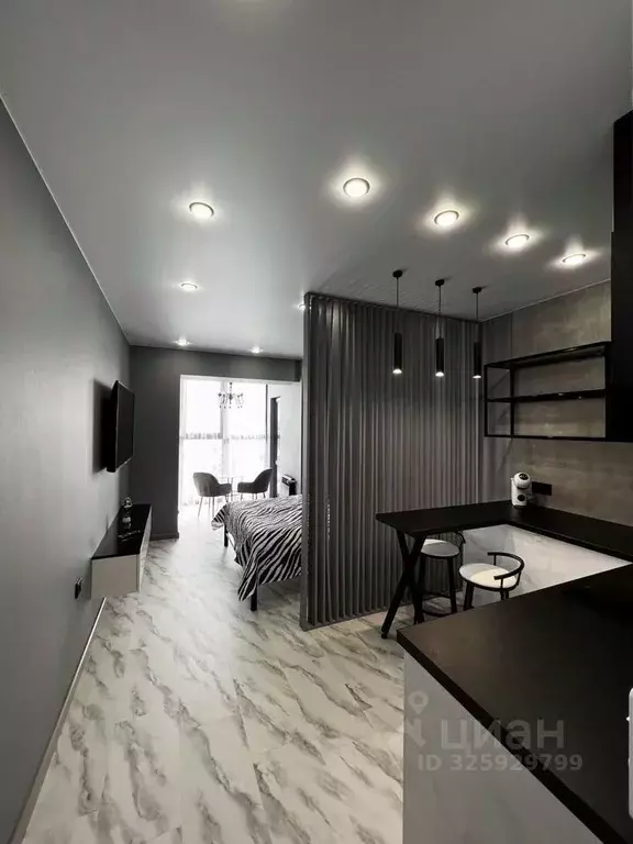 Студия Иркутская область, Иркутск ул. Пискунова, 148/7 (28.0 м) - Фото 1