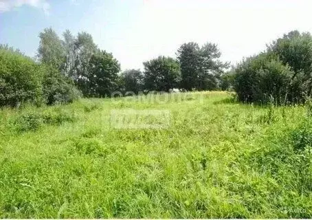 Участок в Калужская область, Малоярославецкий район, Воробьево с/пос, ... - Фото 1