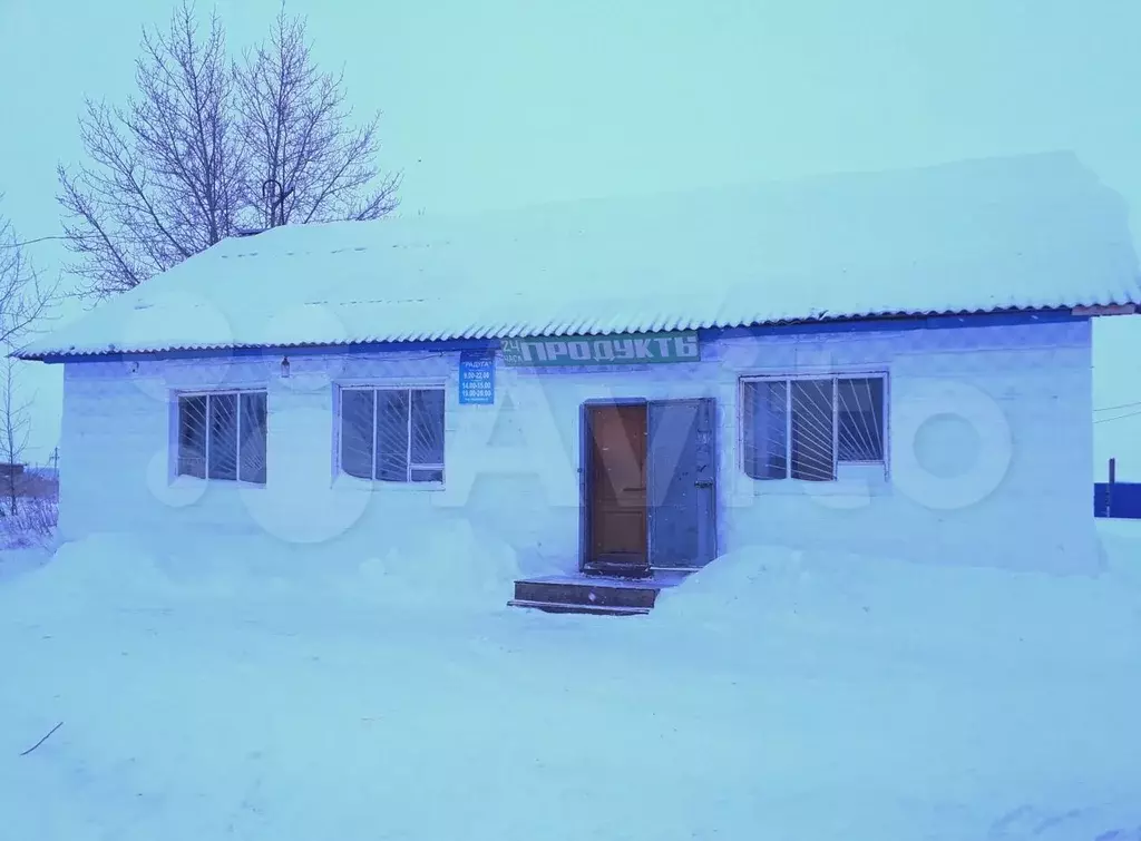 Купить Дом В Большегривском Омской Области