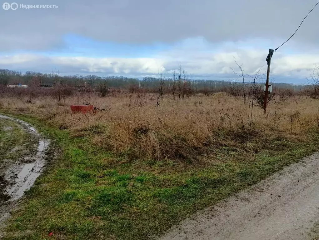 Участок в Северский район, Ильское городское поселение, посёлок ... - Фото 0