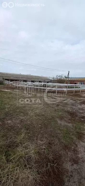 Участок в село Ямное, Просторная улица, 27 (12 м) - Фото 2