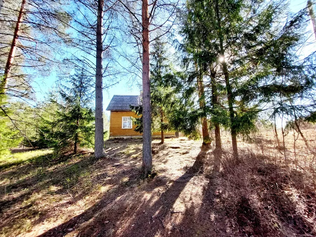 Дом в Пряжинский район, посёлок Матросы (130 м) - Фото 1