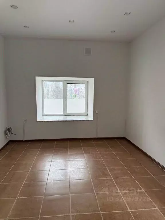 Помещение свободного назначения в Пермский край, Пермь ул. Попова, 57 ... - Фото 2