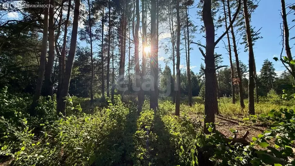 Участок в Тамбовский муниципальный округ, село Большая Липовица (10 м) - Фото 1