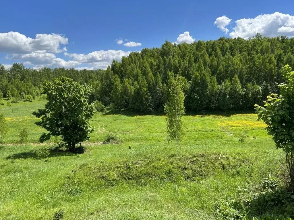 Купить Земельный Участок В Брянской Области