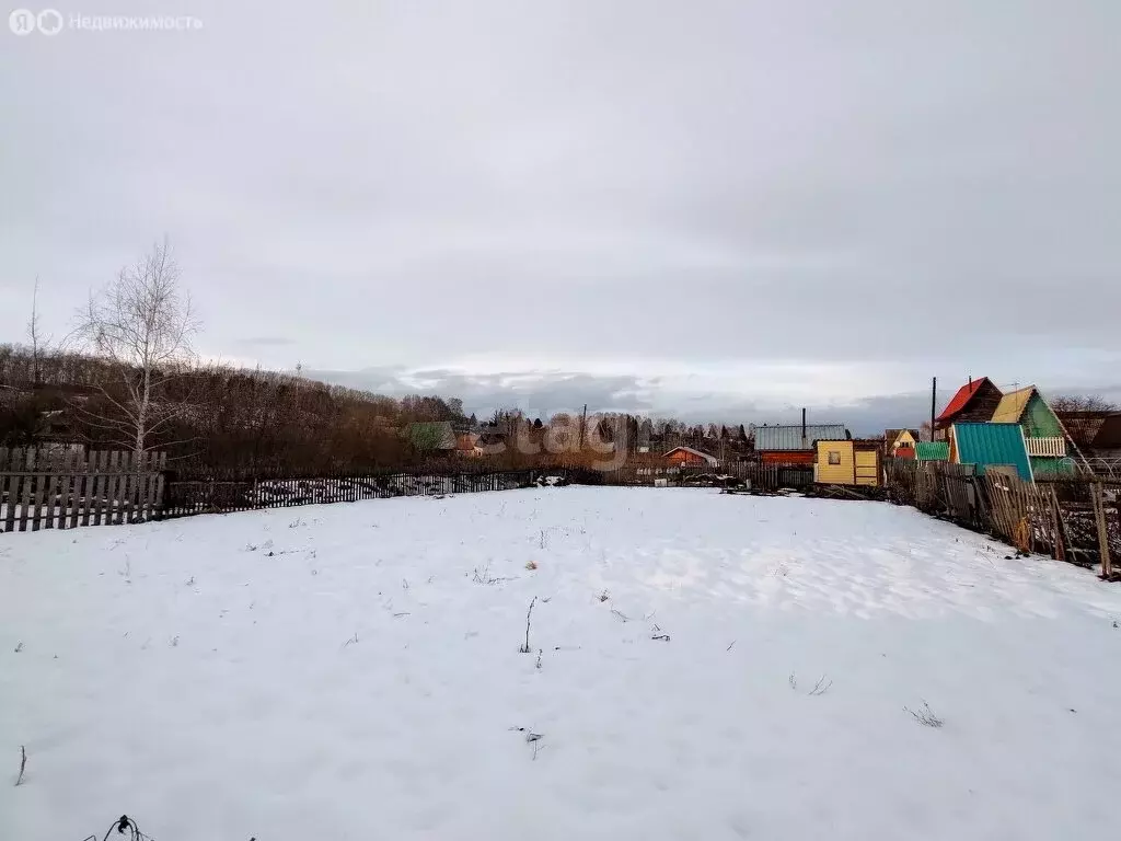 Участок в Мошковский район, Ташаринский сельсовет, остров Зеленый (6.7 ... - Фото 2