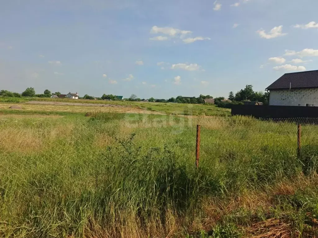 Участок в Белгородская область, Борисовский муниципальный округ, с. ... - Фото 2