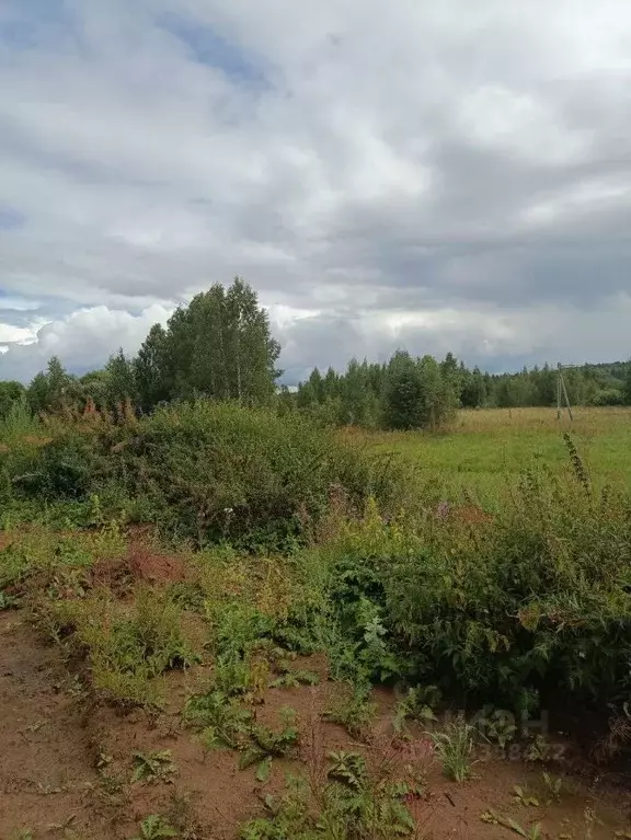 Участок в Московская область, Солнечногорск городской округ, д. Мостки ... - Фото 1
