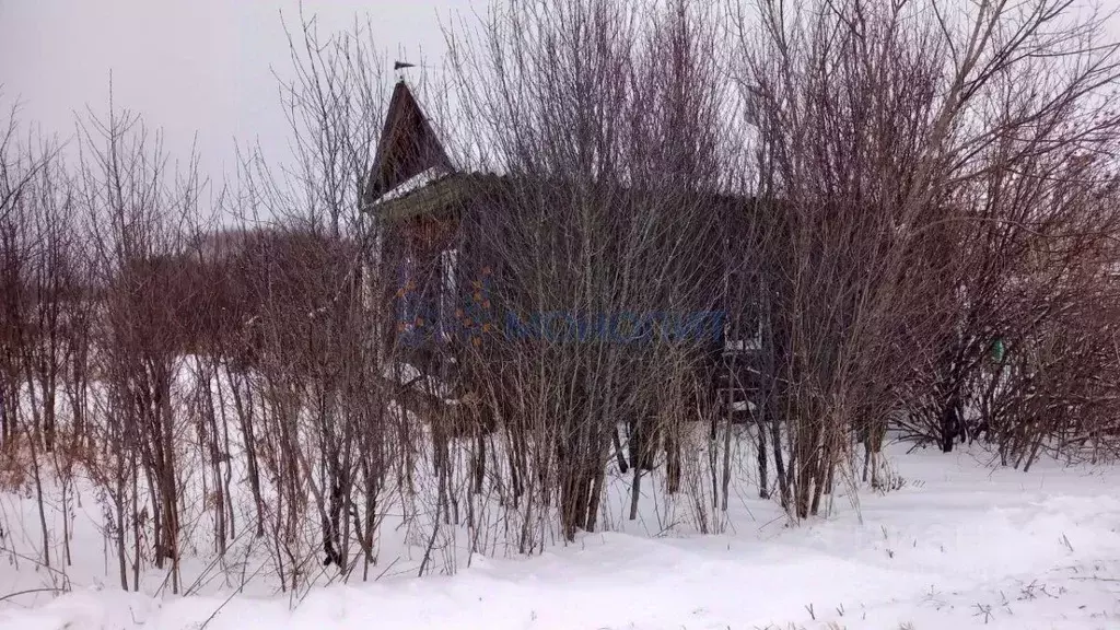 Дом в Нижегородская область, Спасский муниципальный округ, с. Вазьянка ... - Фото 1