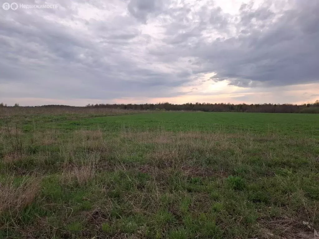Участок в село Талицы, Советская улица (21 м) - Фото 0