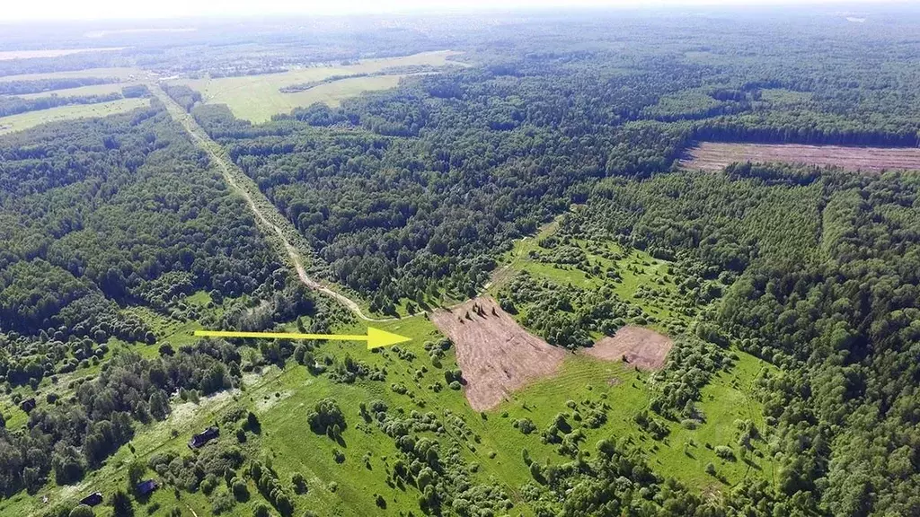 Участок в Калужская область, Медынский район, Михеево с/пос, д. ... - Фото 1