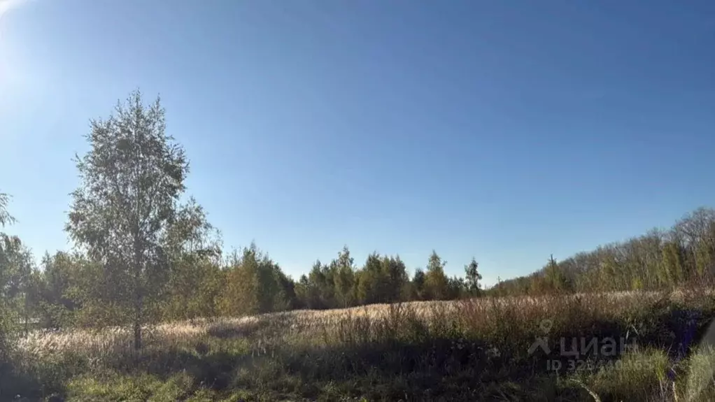 Участок в Московская область, Кашира городской округ, д. Знаменское  ... - Фото 1