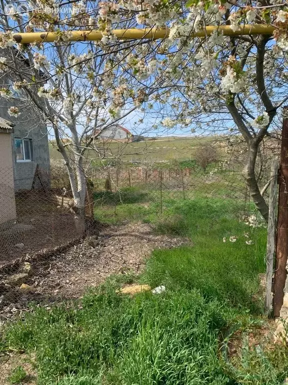 Участок в Калиновка, Механизаторская улица, 4 (10 м) - Фото 2