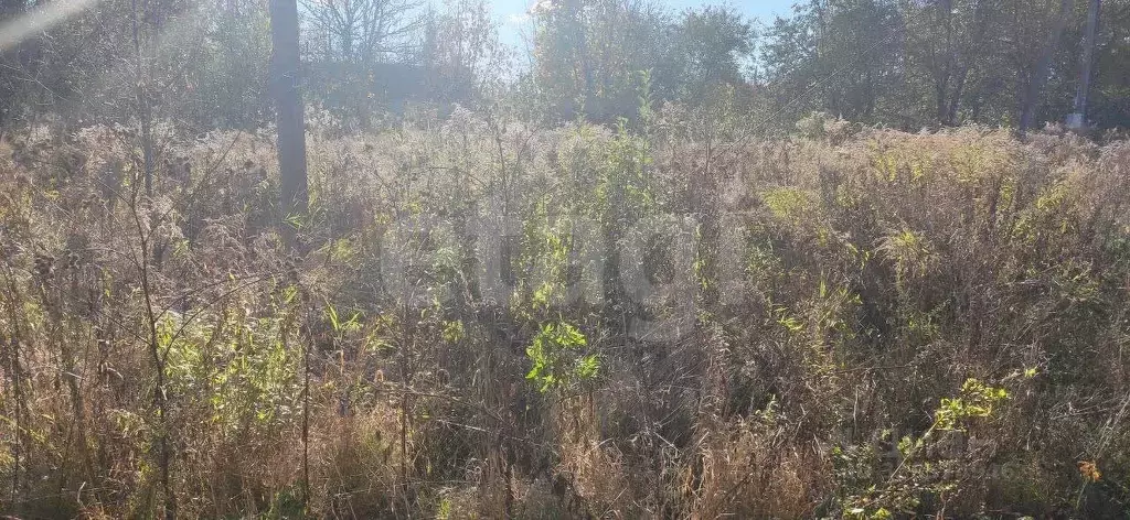 Участок в Тульская область, Тула городской округ, с. Частое  (13.1 ... - Фото 2