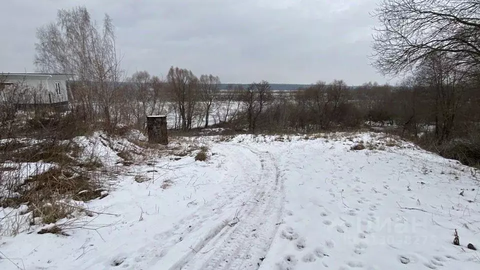 Участок в Московская область, Кашира городской округ, д. Баскачи  ... - Фото 1